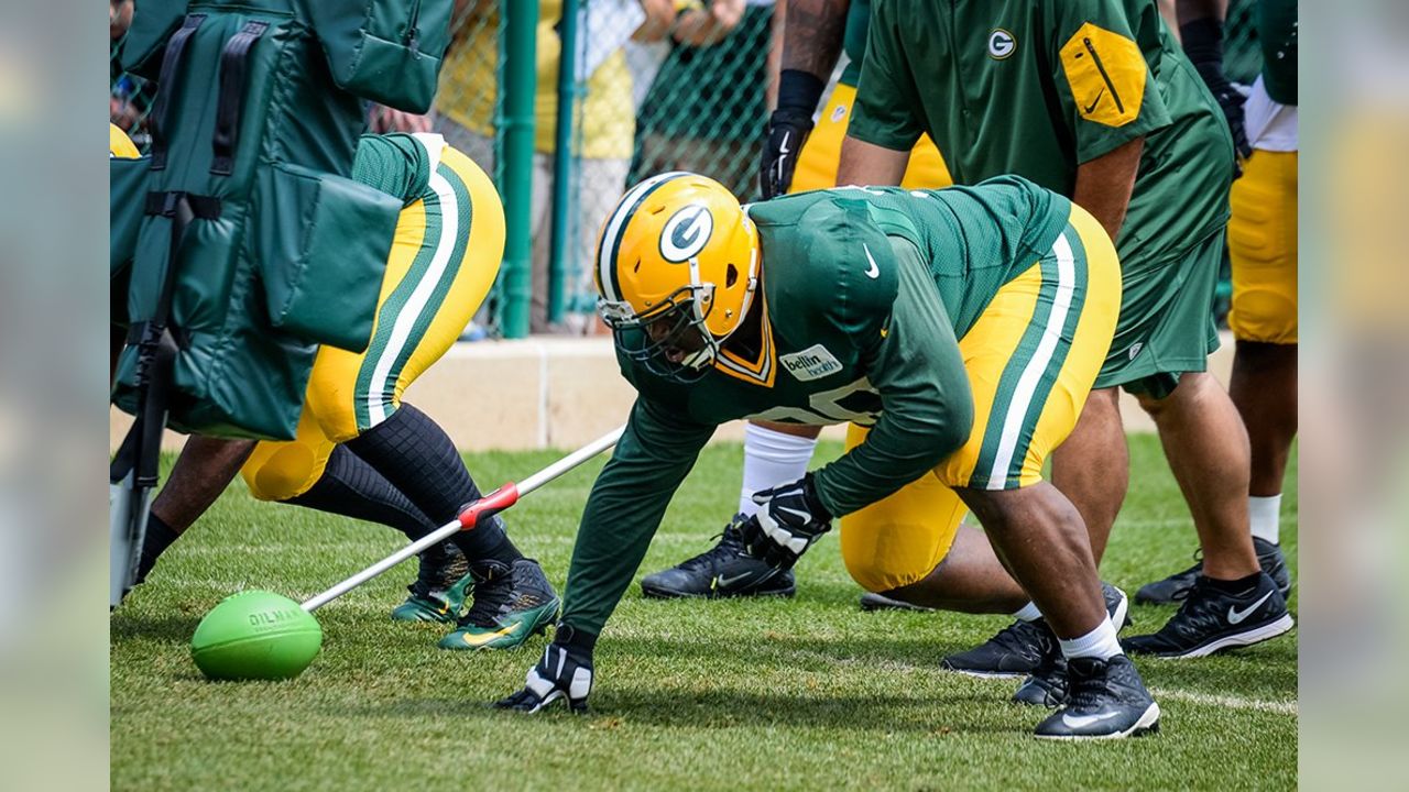 Green Bay Packers' B.J. Raji taking NFL 'hiatus' in 2016 