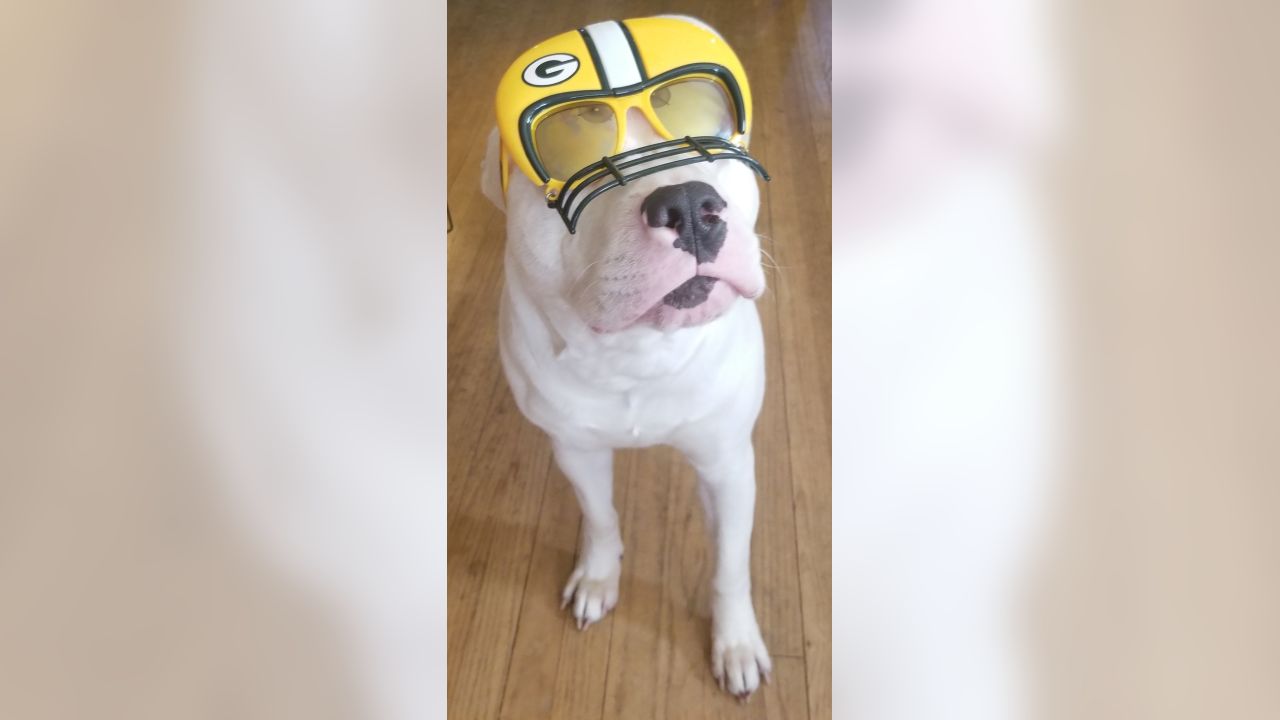 Packers fans celebrate 'National Love Your Pet Day'