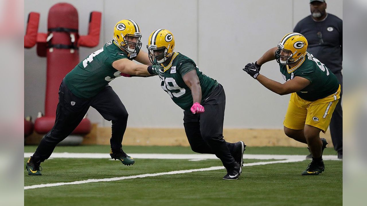 Packers' weapons include punter Tim Masthay - Superior Telegram