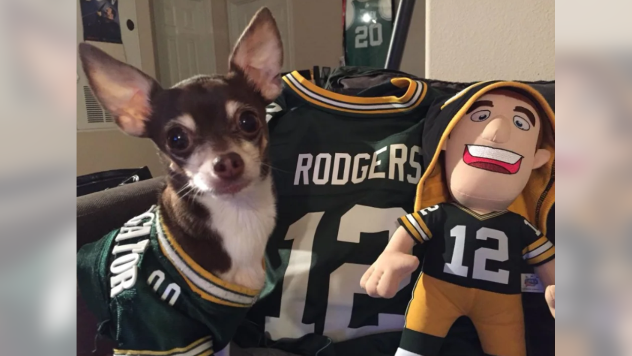 That Dood Squad dogs show off their Packers pride in Instagram photo