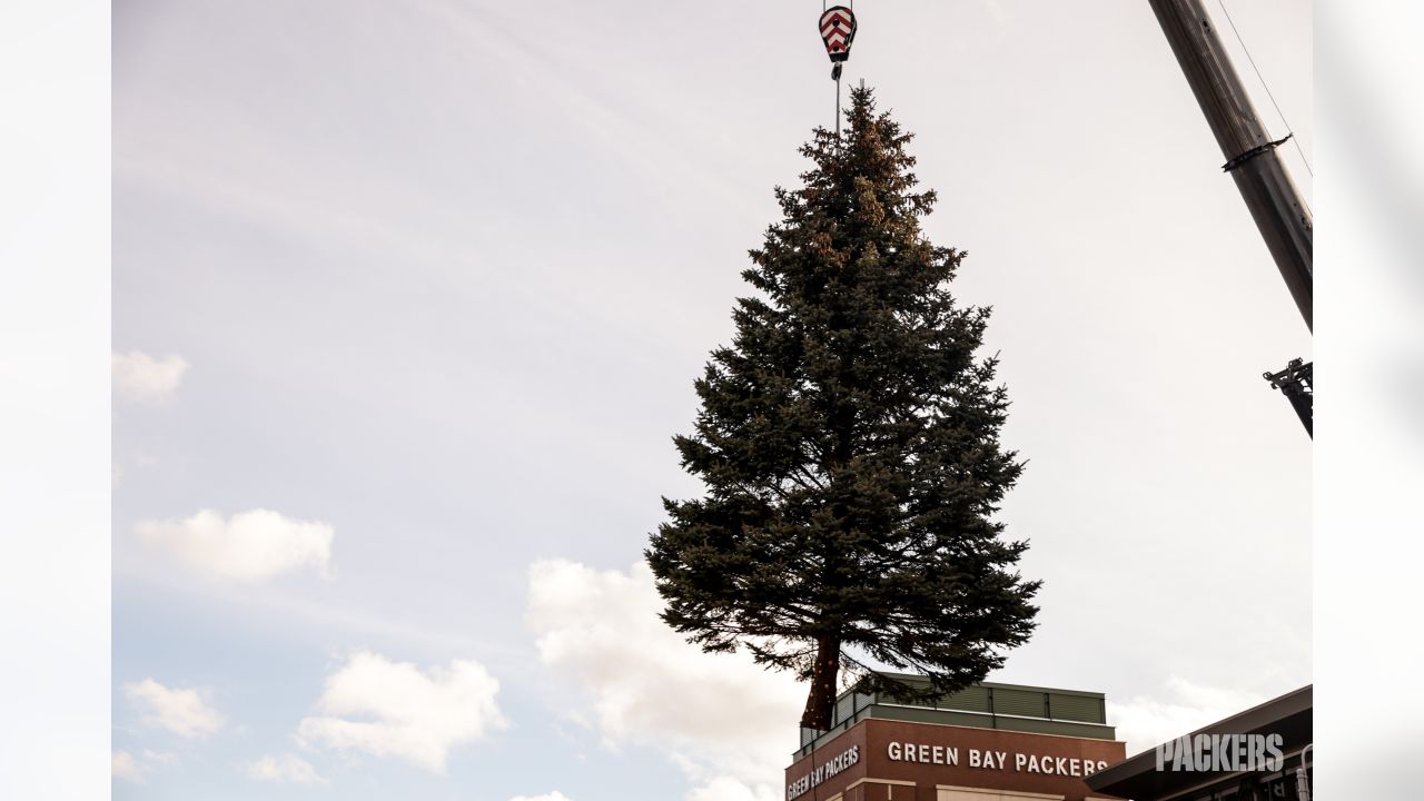 Lambeau Field Green Bay Packers Christmas Tree Picture P1198 