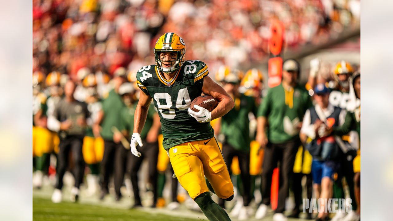 Green Bay Packers' Tyler Davis during the first half of an NFL football game  Sunday, Sept. 25, 2022, in Tampa, Fla. (AP Photo/Jason Behnken Stock Photo  - Alamy