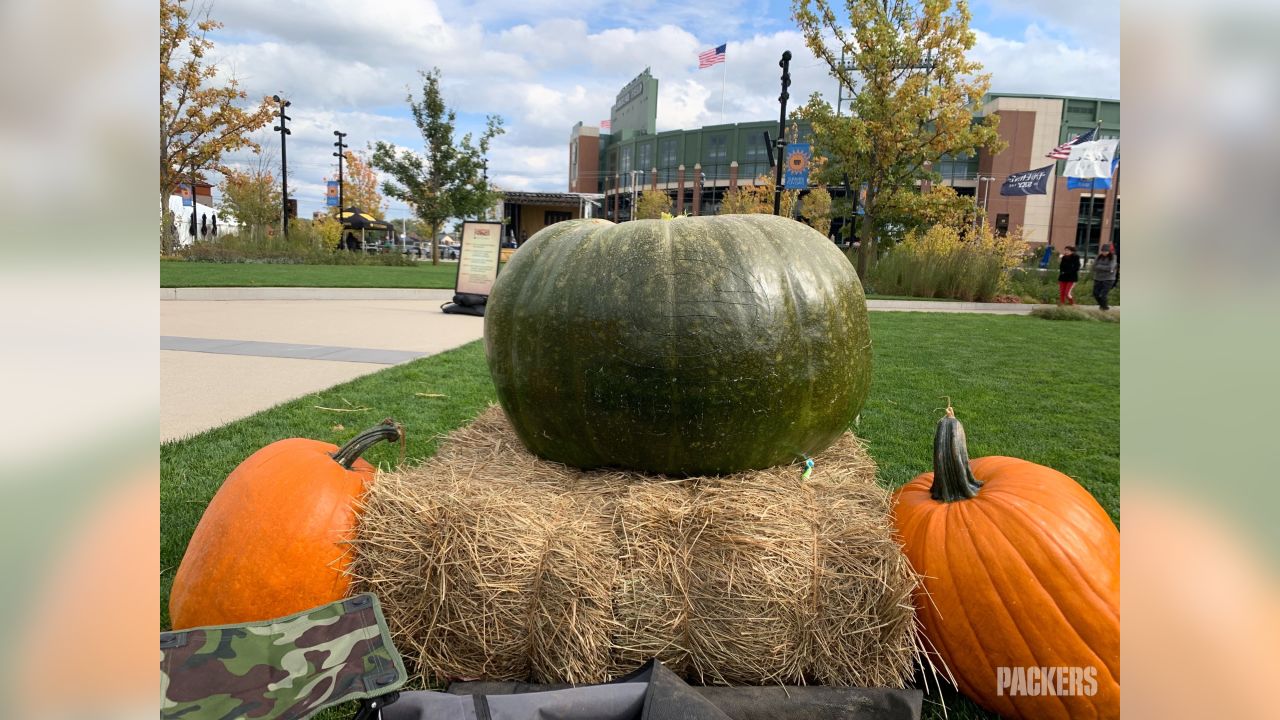 Packers fans get creative with pumpkins for Halloween