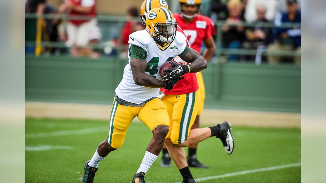 James Starks Reportedly re-signs with the Green Bay Packers - Bull Run