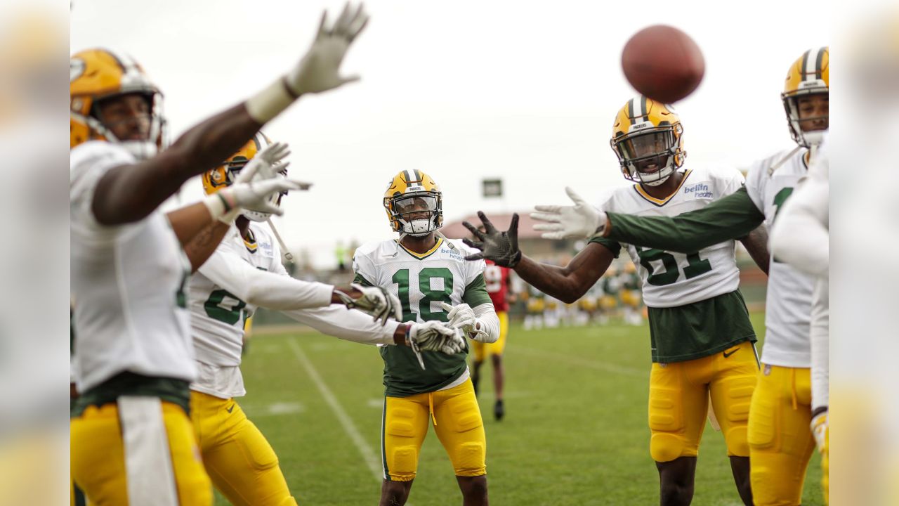 Roles and respect form perfect tandem for Packers' offense in Marcedes Lewis,  Robert Tonyan