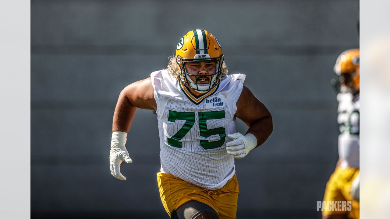 Packers' first-round Georgia pair feeling right at home at rookie minicamp