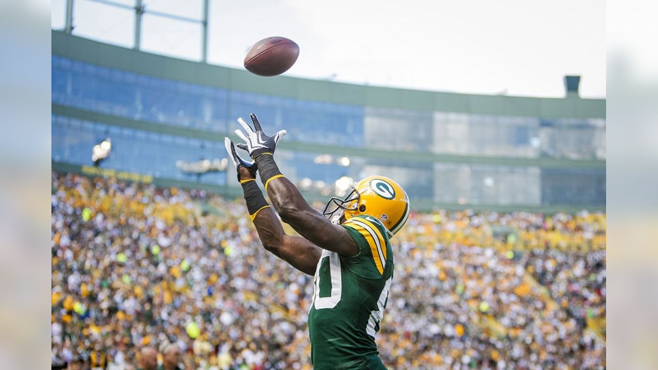 Packers Hall of Fame: WR Donald Driver