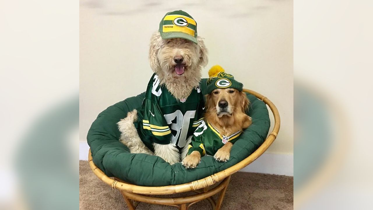 PETS FIRST NFL Football Pillow Dog Bed, Green Bay Packers 