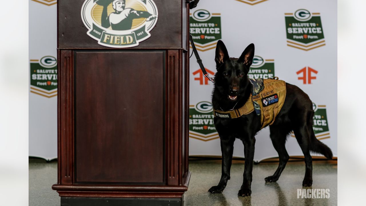 Packers selling Salute to Service bandannas to raise funds for veterans'  service dogs