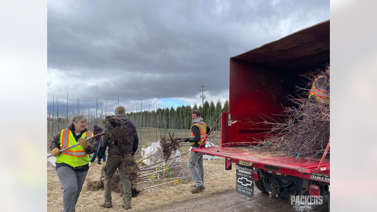 Green Bay couple donates tree for Packers' 'Festival of Lights'