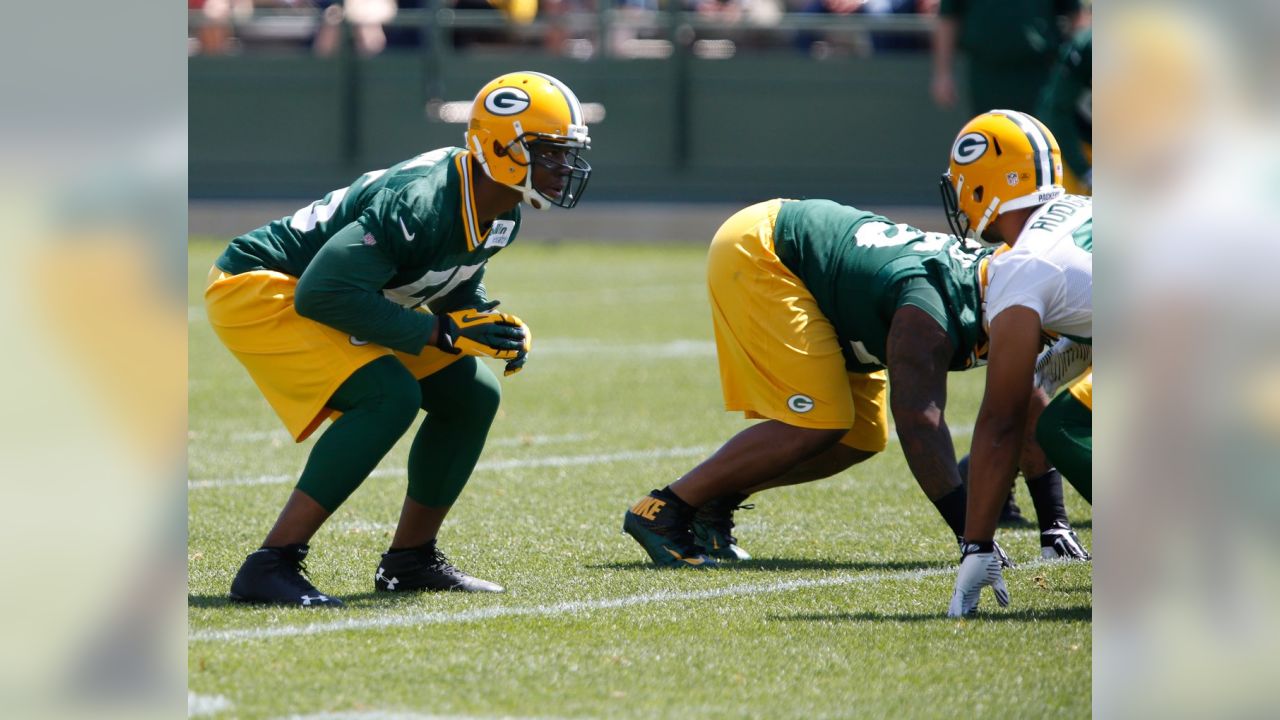 Julius Peppers doing more, but Packers want to do less