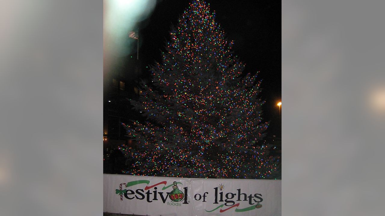 Green Bay Packers searching for this year's Festival of Lights tree