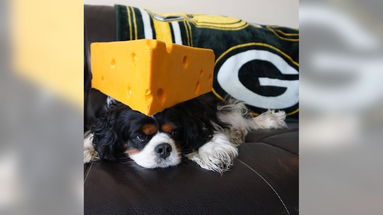 Packers pets