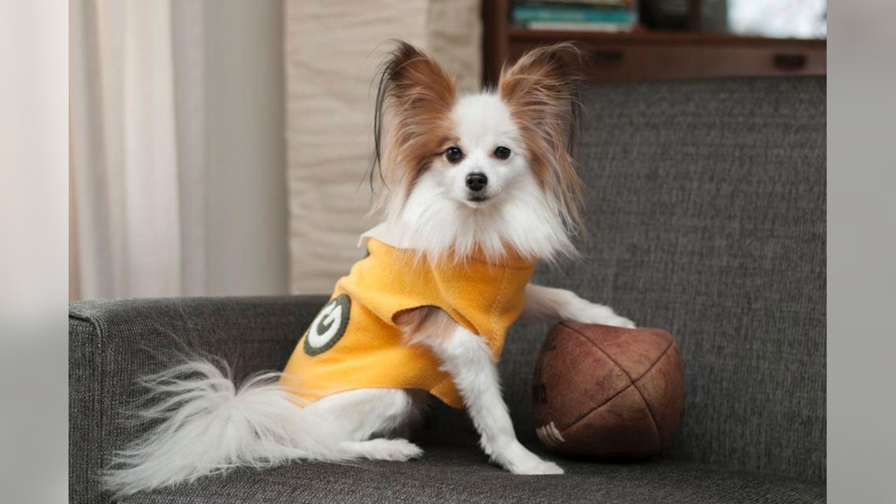 30 Dogs Who Are Ready For The Super Bowl  Puppy costume, Dog line, Green  bay packers dog