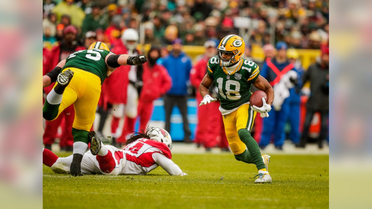 Texans' Randall Cobb traded to Packers - A Sea Of Blue