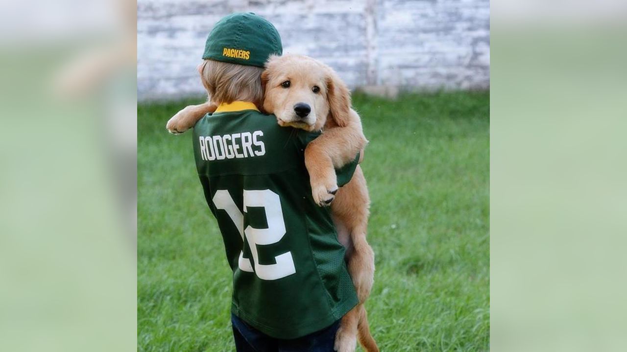 Packers dog store