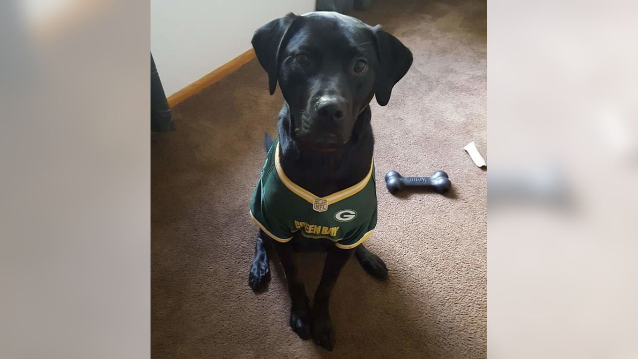 Packers fans celebrate National Puppy Day