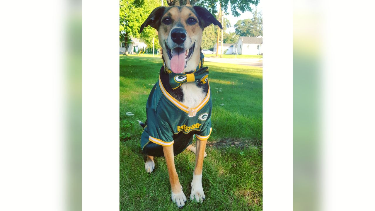 Free: Green Bay Packers Dog Pet Cheerleader Outfit - Dog - Listia