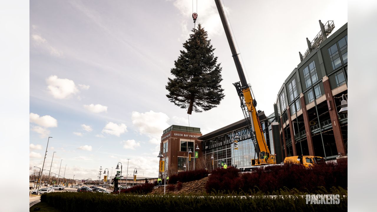 Lambeau field Green Bay Packers Christmas tree picture P1198