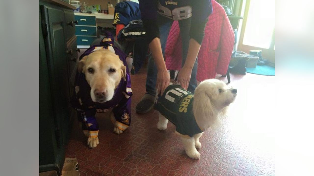 Packers fans celebrate 'National Love Your Pet Day'