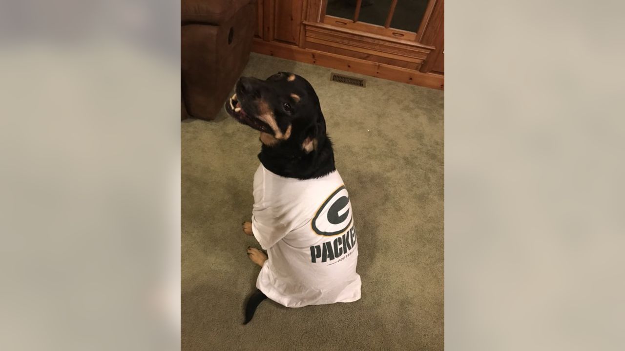 Packers fans celebrate 'National Love Your Pet Day'