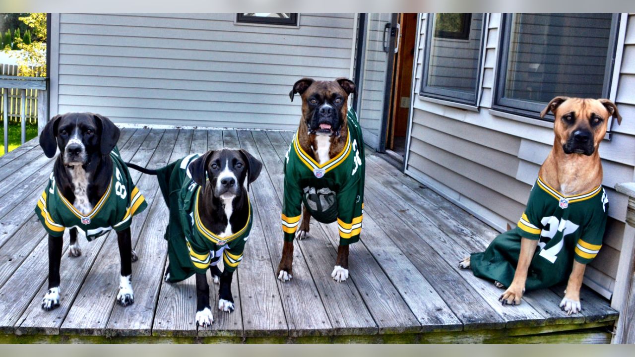 Official Green Bay Packers Dog Jerseys, Packers Pet Leash, Collar