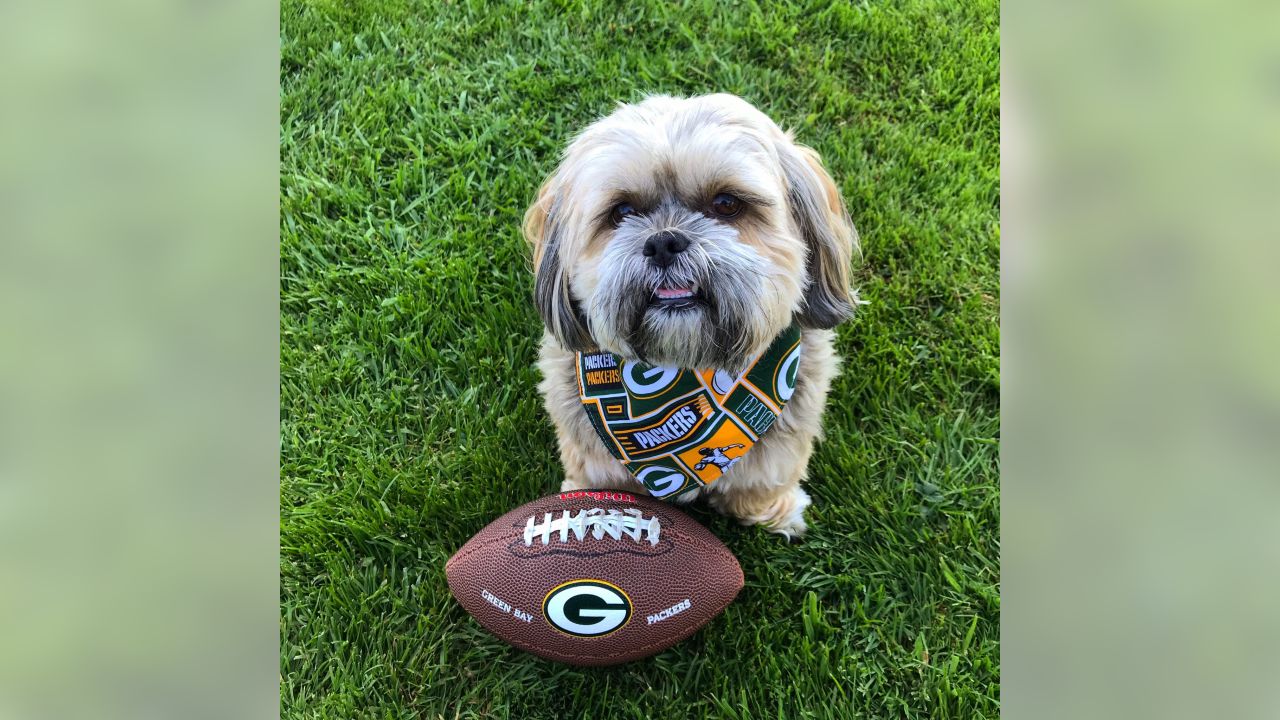 Packers fans celebrate 'National Love Your Pet Day'
