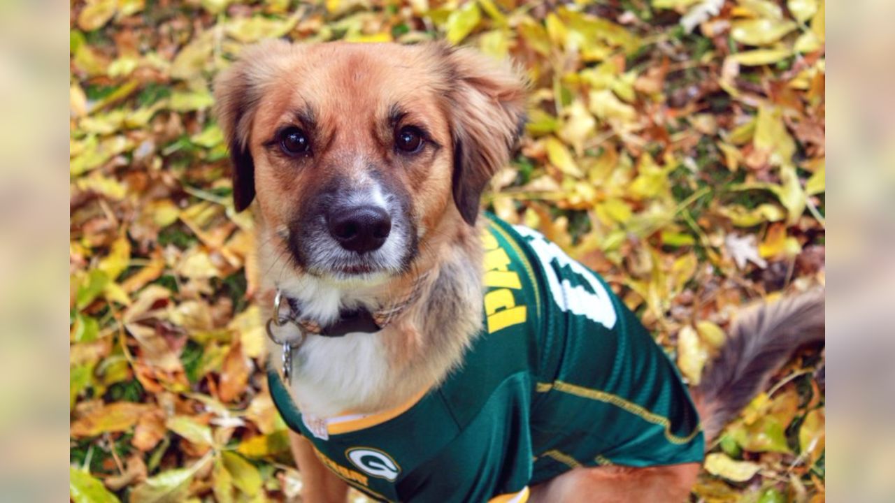 Photos: Fans Celebrate National Puppy Day