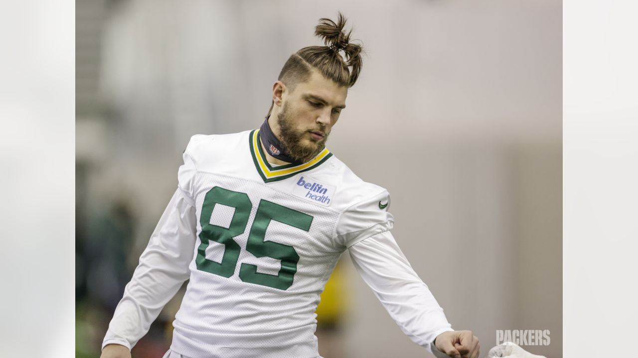 Robert Tonyan of the Green Bay Packers awaits the snap against the