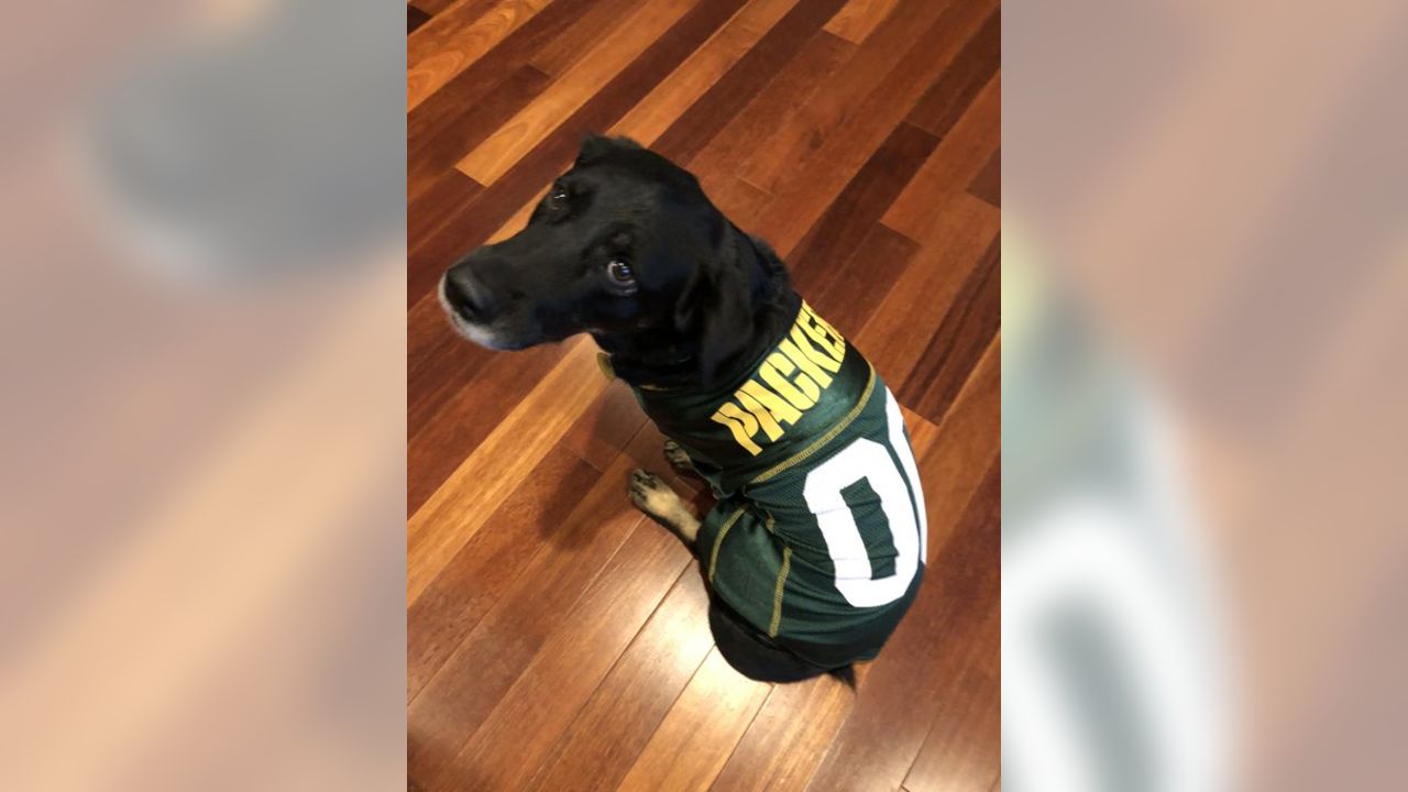 Packers fans celebrate 'National Love Your Pet Day'