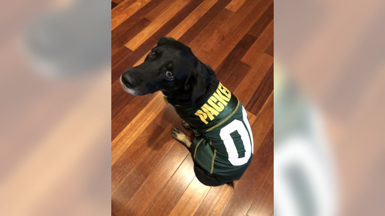 Packers fans celebrate 'National Love Your Pet Day