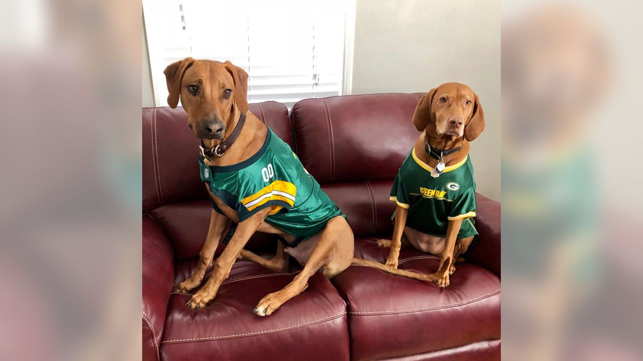 Packers pets