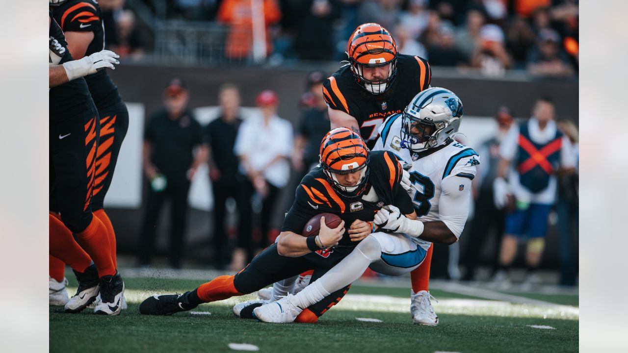 Game Angles: Best of Panthers-Bengals in Week 9