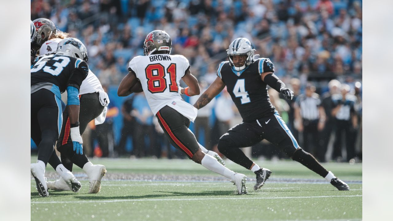 Photo Gallery: Buccaneers and Panthers