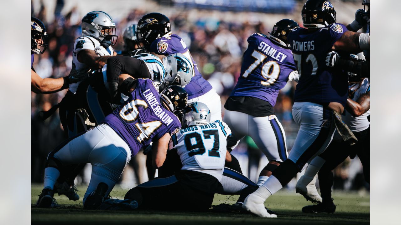 PHOTOS: Game action shots from Panthers-Ravens