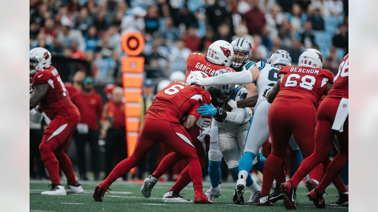 PHOTOS: Game action shots from Panthers-Cardinals