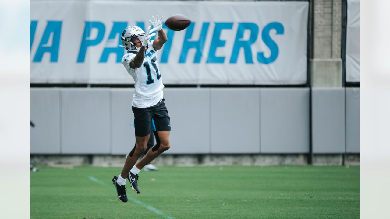 Panthers' Derrick Brown gets leaner without going 'cold turkey' 