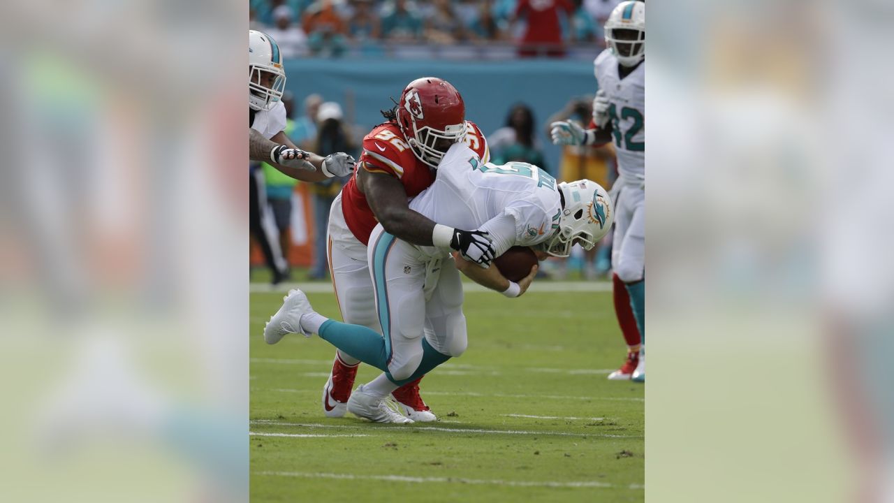 Dontari Poe signs with the Falcons - Stampede Blue