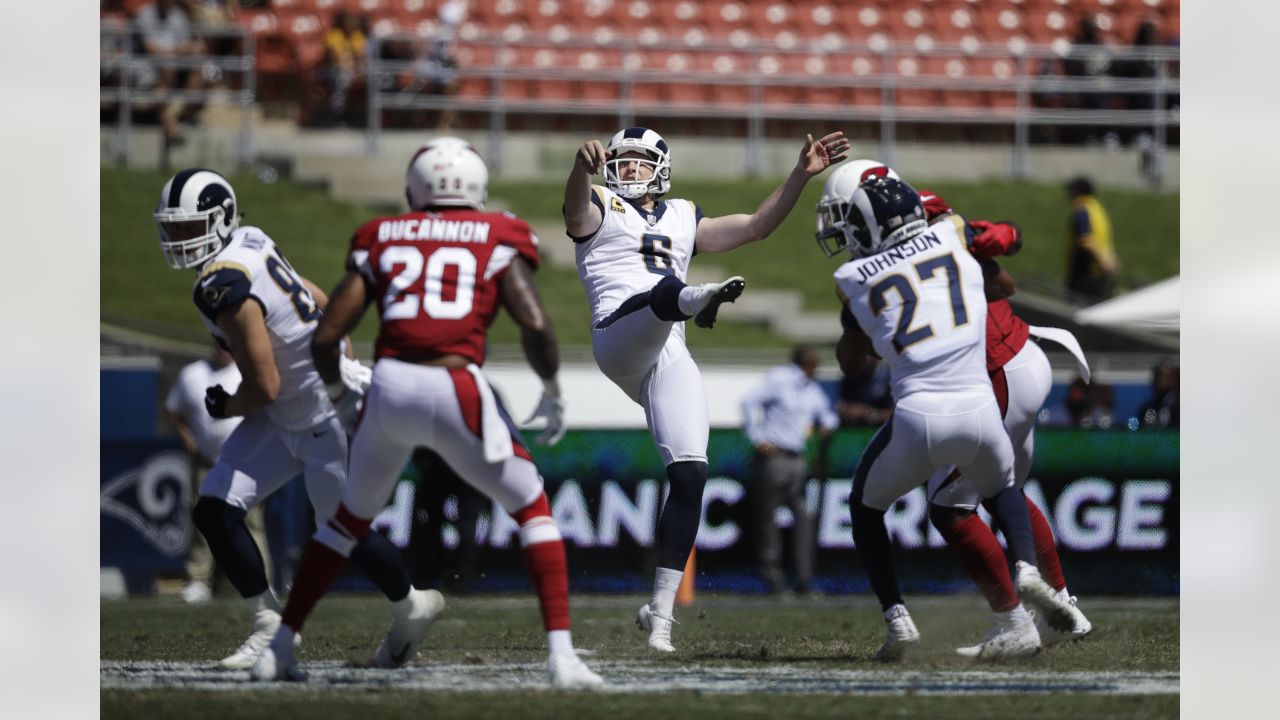 Carolina Panthers Sign Former Los Angeles Rams Pro Bowl Punter