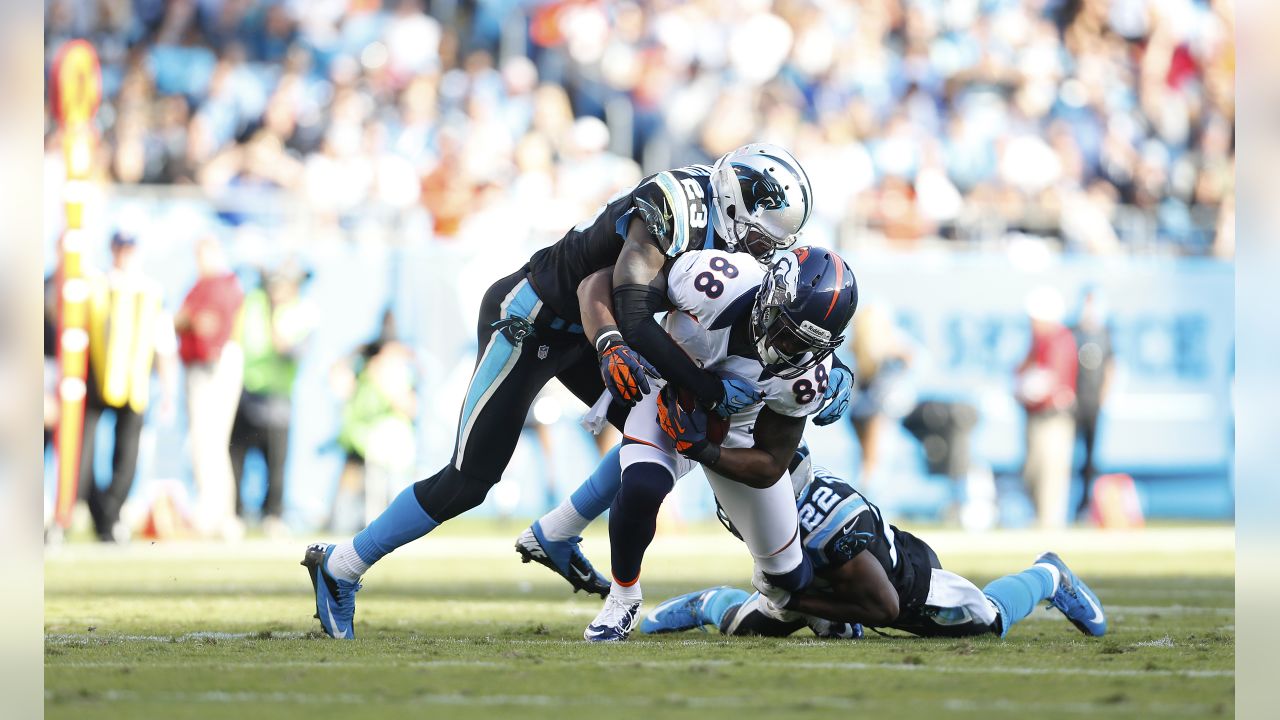 Carolina Panthers: Grades against the Denver Broncos