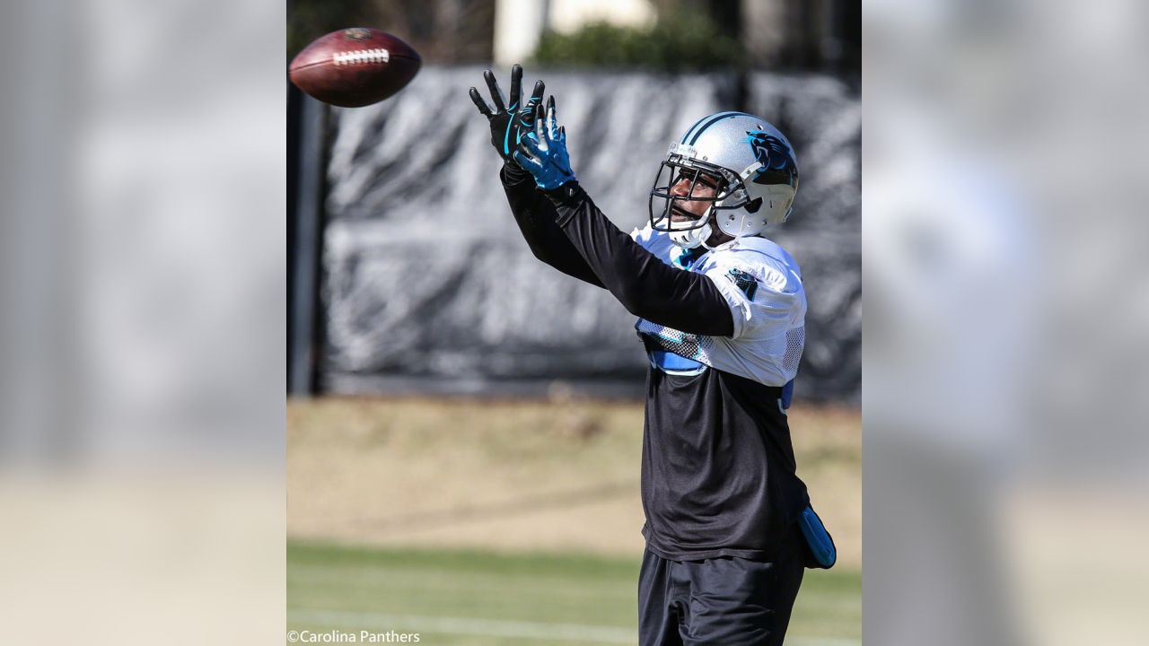 Panthers WR Jerricho Cotchery diagnosed with high ankle sprain