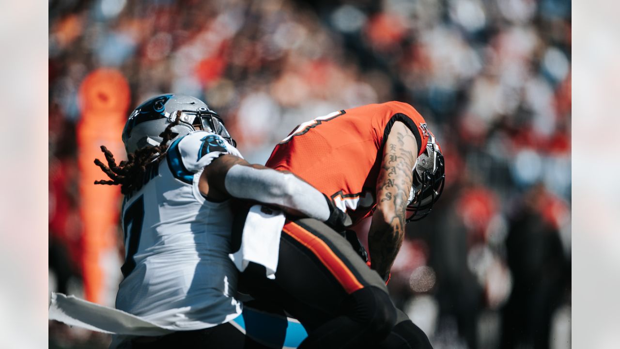 Carolina Panthers vs. Tampa Bay Buccaneers. Fans support on NFL Game.  Silhouette of supporters, big screen with two rivals in background Stock  Photo - Alamy