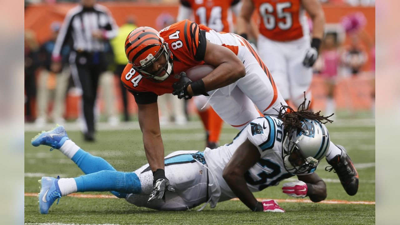 Bengals 37, Panthers 37 (OT): Field-goal miss hits Nugent hard