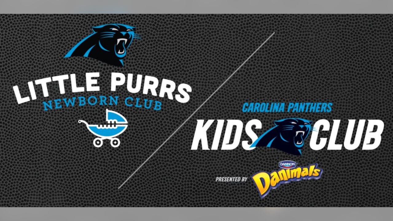 19 Sir Purr ideas  purring, carolina panthers, panthers