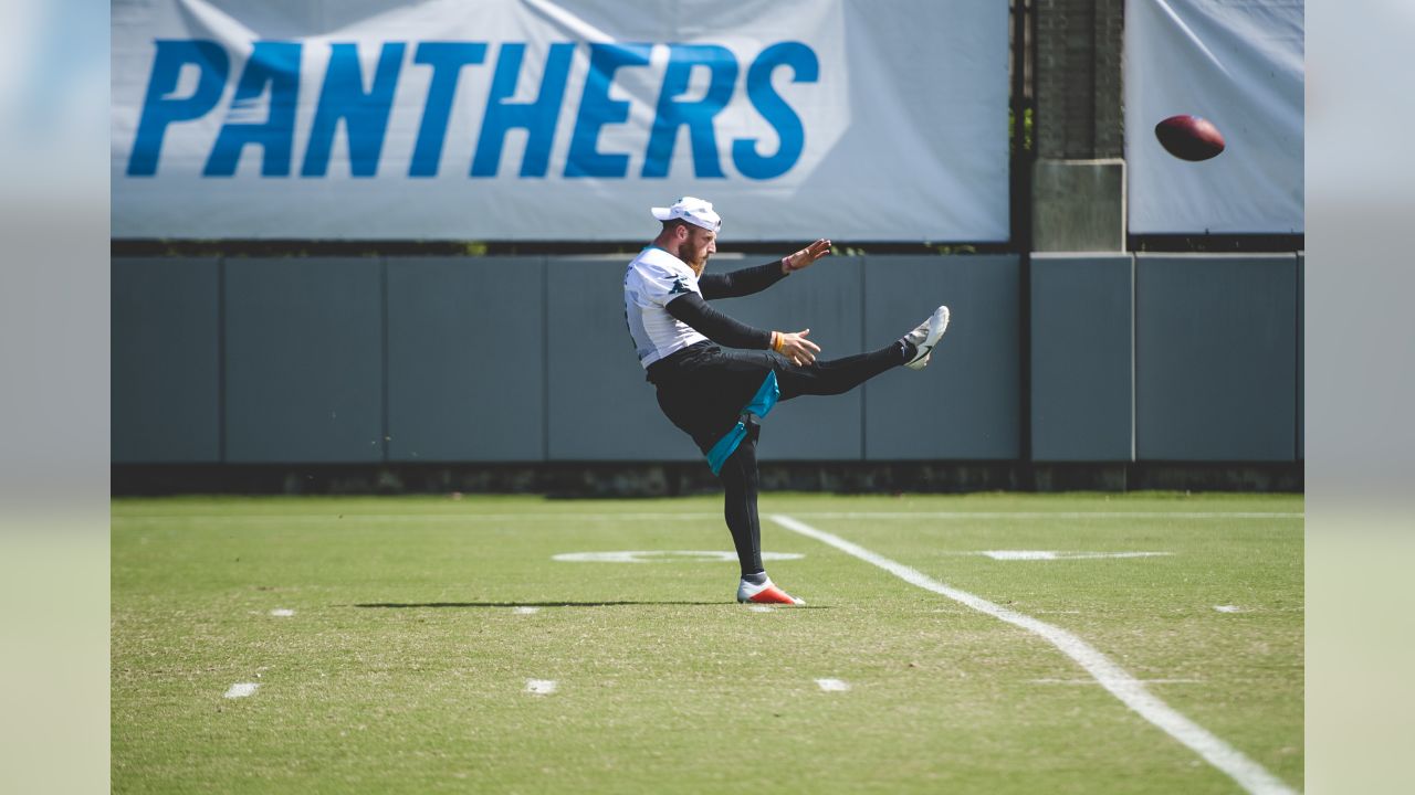 Grumpy Cat roots for Panthers but doesn't approve of Cam Newton's dancing