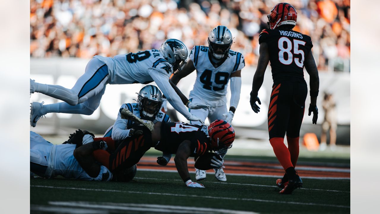 Photos: Best of Bengals-Panthers Game Action