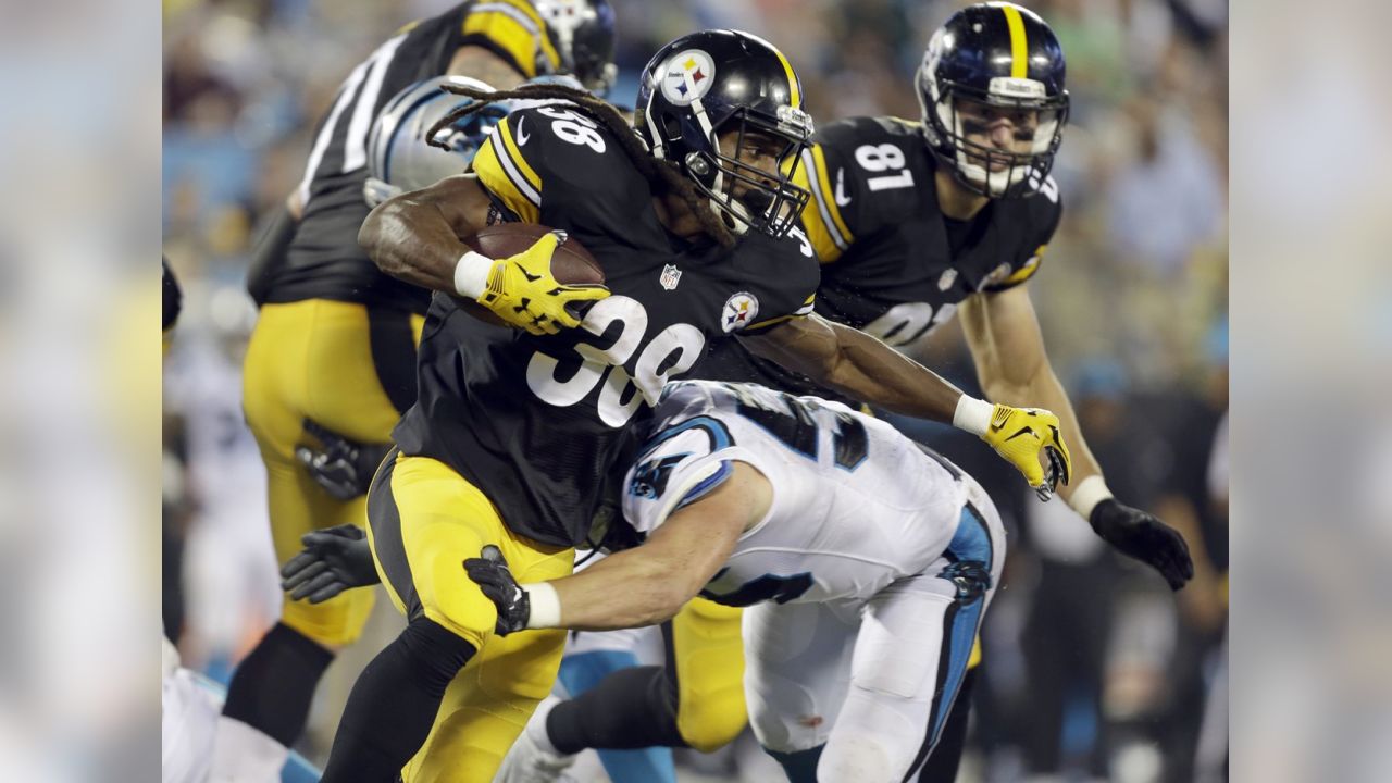 Panthers defeat Steelers 18-6 in preseason game