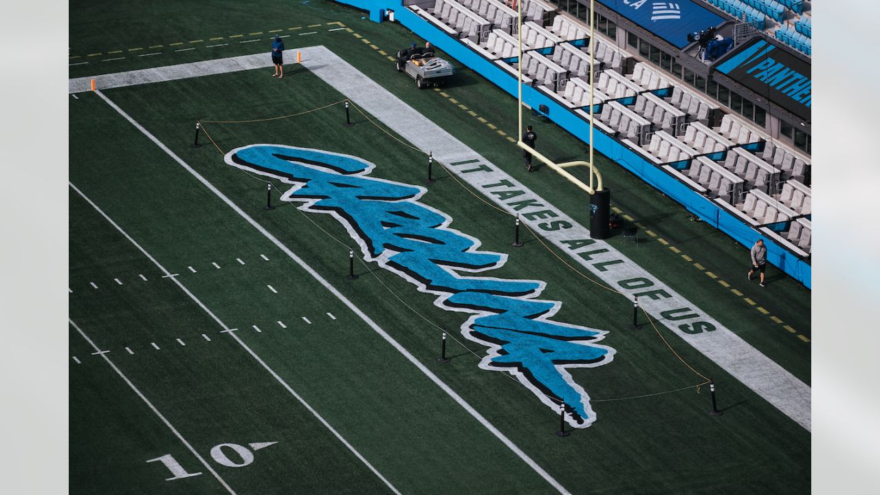 Carolina Panthers - End Zone - Standard Frame