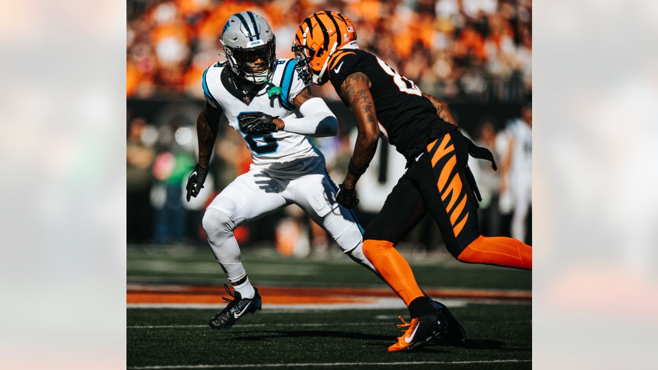 Game Angles: Best of Panthers-Bengals in Week 9