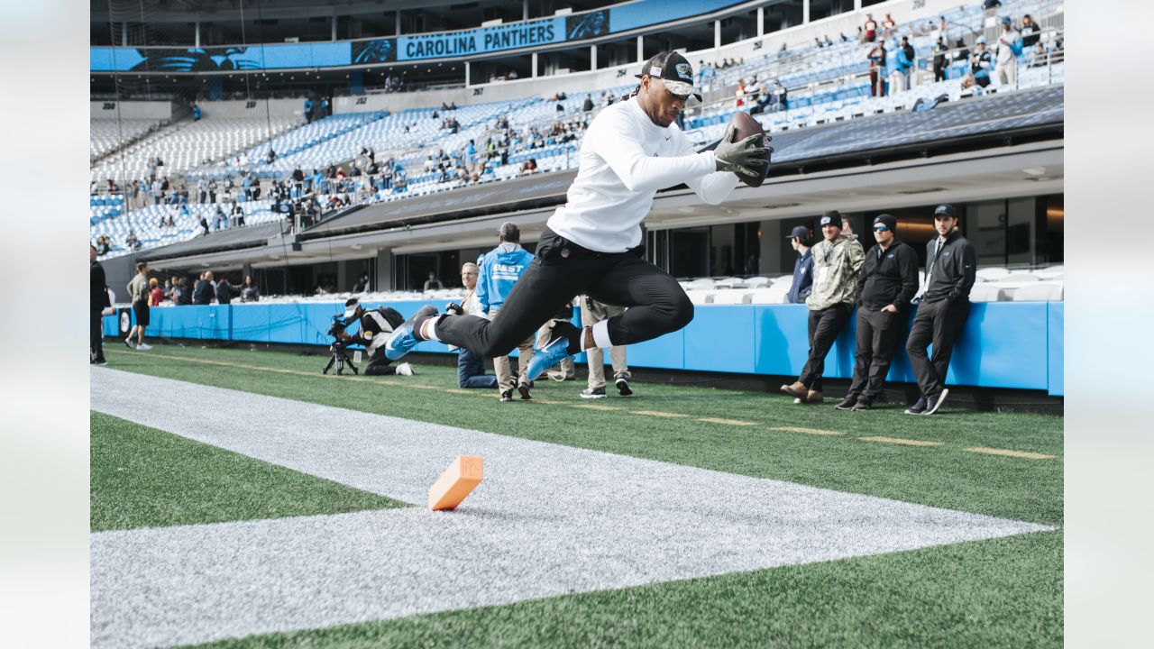 carolina panthers pre game